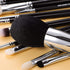 MASTER SERIES - 12 PCS CLASSIC BRUSH KIT - BRIGHT SILVER - EIGSHOW Beauty
